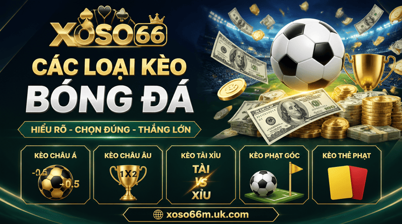 Các loại kèo bóng đá