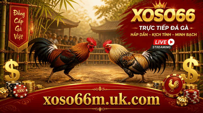 Trực Tiếp Đá Gà XOSO66